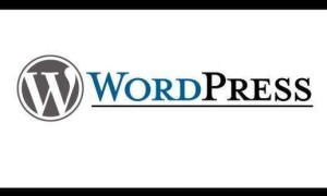 WordPress安全实用插件