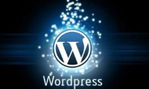 最全WordPress主题常用插件